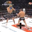 The South Korean monster Vs fedor emelianen KO! MMA